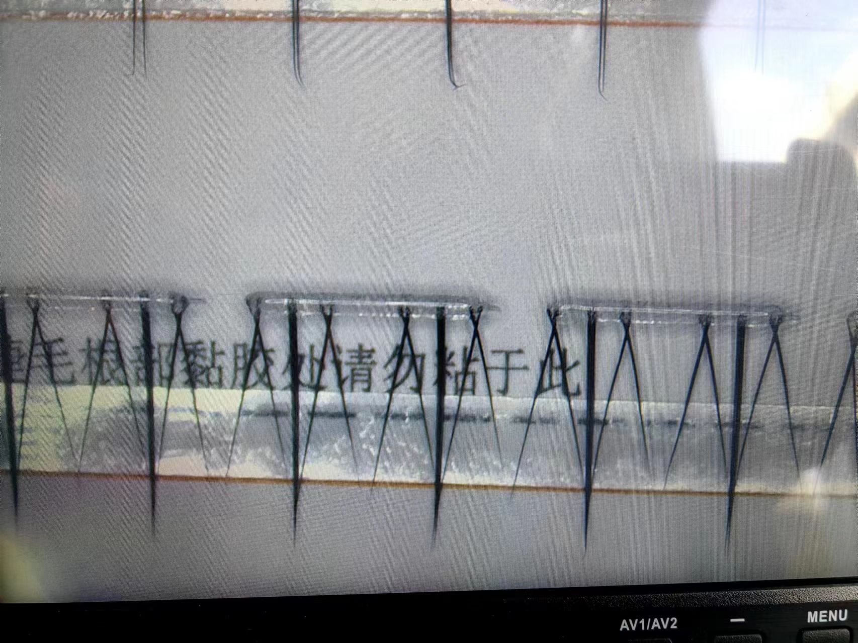 微信圖片_20240421183826 微信圖片_20240421183826